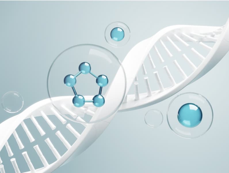 Illustration - Promotes DNA Repair