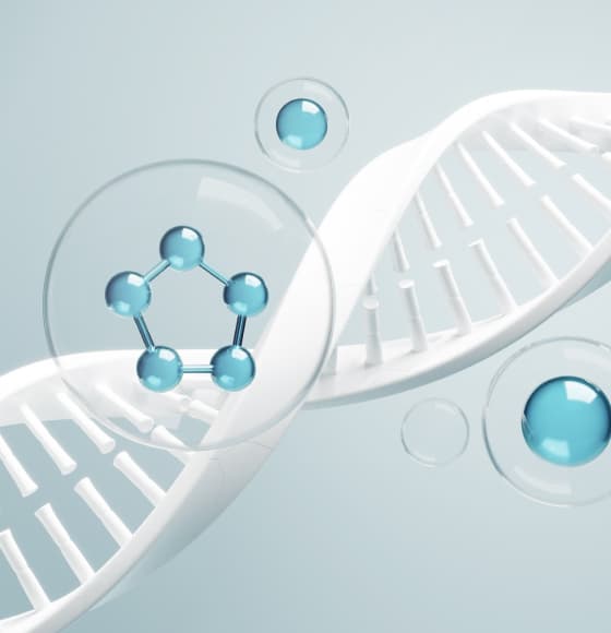 Illustration - Promotes DNA Repair